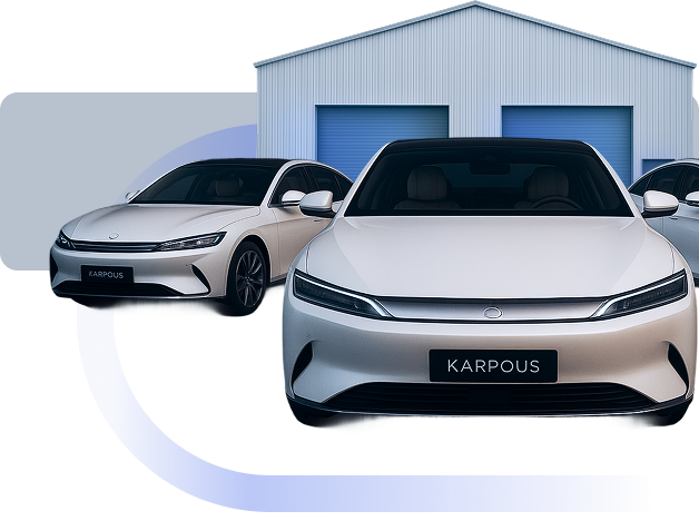 Direct Ownership